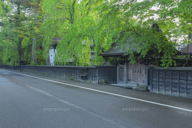 新緑の角館武家屋敷
(c)NOBUAKI SUMIDA/SEBUN PHOTO
