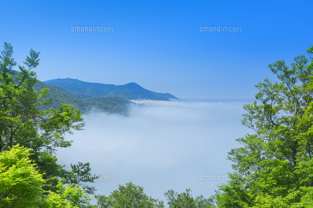 仏ケ浦の雲海
(c)NOBUAKI SUMIDA/SEBUN PHOTO