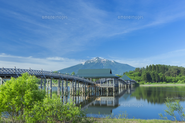 新緑の鶴の舞橋と岩木山
(c)NOBUAKI SUMIDA/SEBUN PHOTO