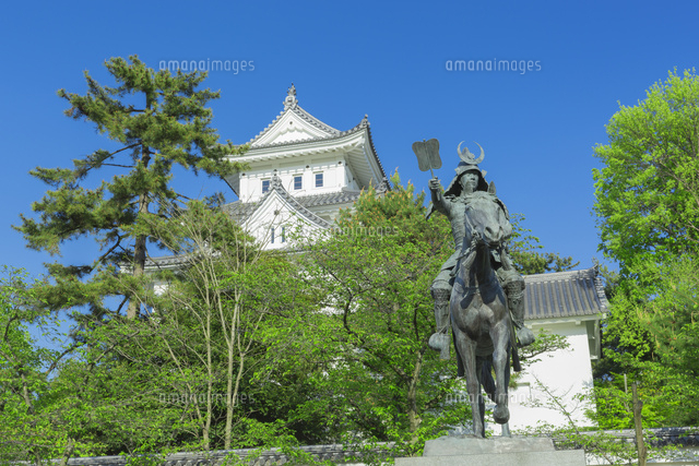 新緑の大垣城
(c)NOBUAKI SUMIDA/SEBUN PHOTO