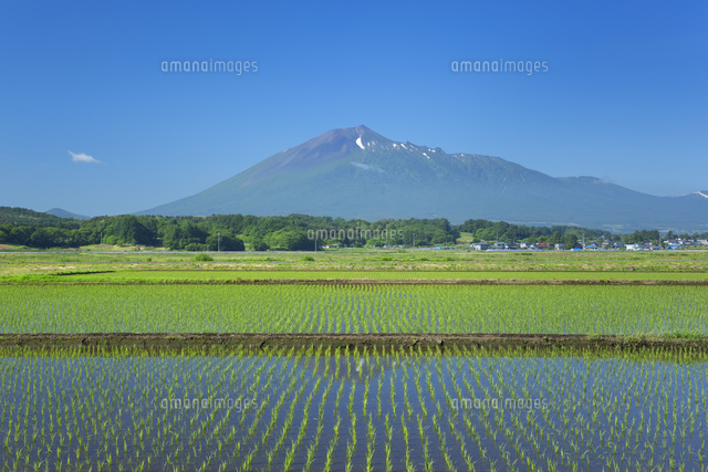 岩手山と水田
(c)NOBUAKI SUMIDA/SEBUN PHOTO