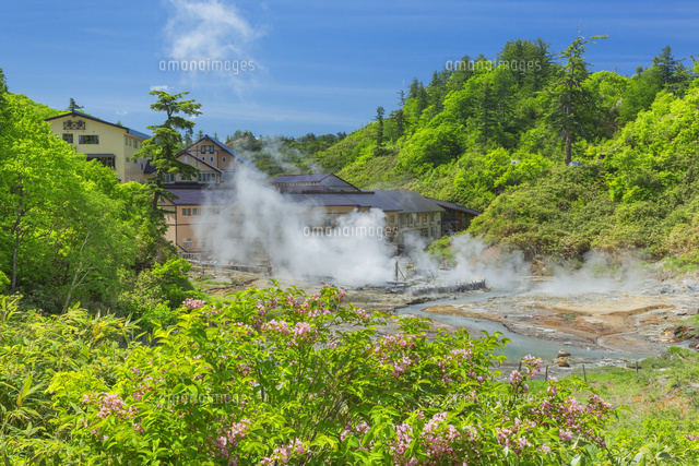 新緑の後生掛温泉
(c)NOBUAKI SUMIDA/SEBUN PHOTO
