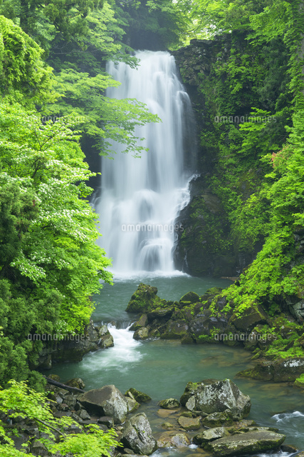 新緑の奈曽の白滝
(c)NOBUAKI SUMIDA/SEBUN PHOTO