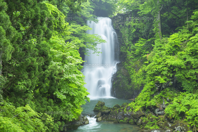 新緑の奈曽の白滝
(c)NOBUAKI SUMIDA/SEBUN PHOTO