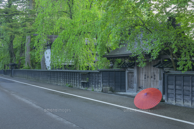 新緑の角館武家屋敷
(c)NOBUAKI SUMIDA/SEBUN PHOTO