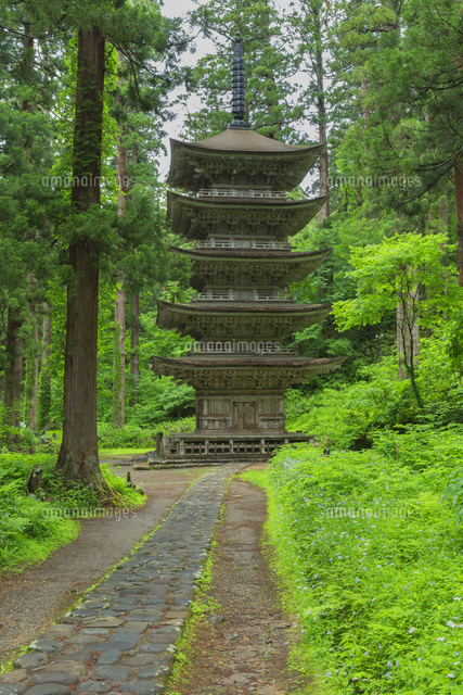 新緑の羽黒山五重塔
(c)NOBUAKI SUMIDA/SEBUN PHOTO