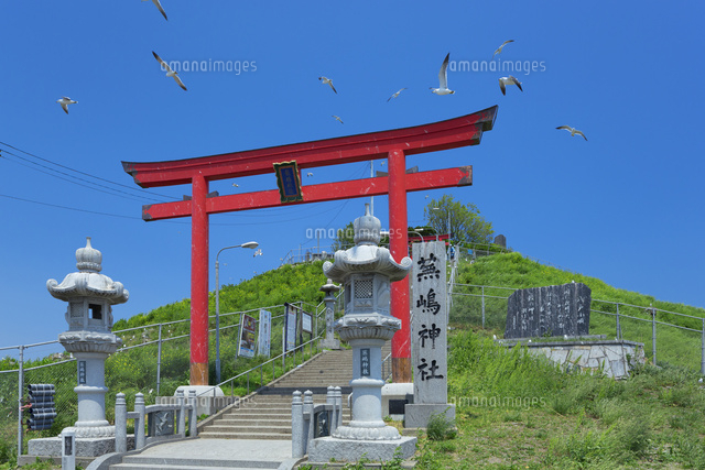 蕪島神社のウミネコ
(c)NOBUAKI SUMIDA/SEBUN PHOTO
