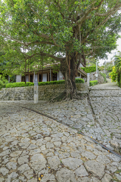 金城町石畳道
(c)NOBUAKI SUMIDA/SEBUN PHOTO