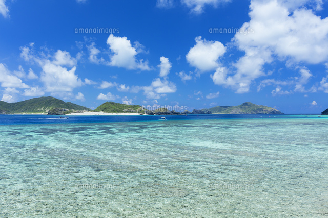 慶良間の海
(c)NOBUAKI SUMIDA/SEBUN PHOTO