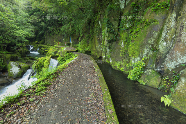 関吉の疎水溝
(c)NOBUAKI SUMIDA/SEBUN PHOTO