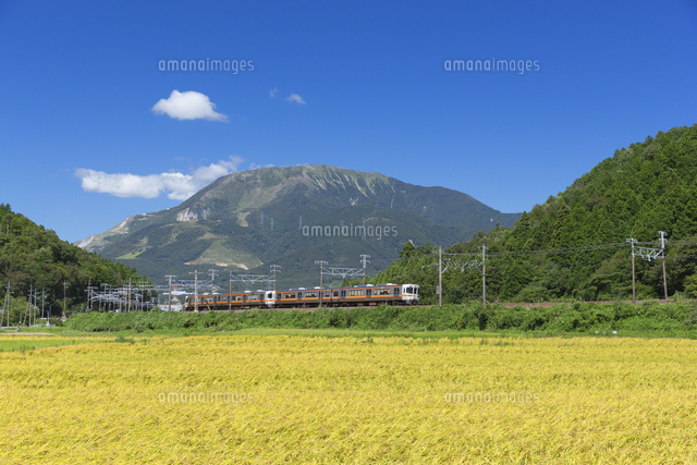 伊吹山とJR東海道本線
(c)NOBUAKI SUMIDA/SEBUN PHOTO