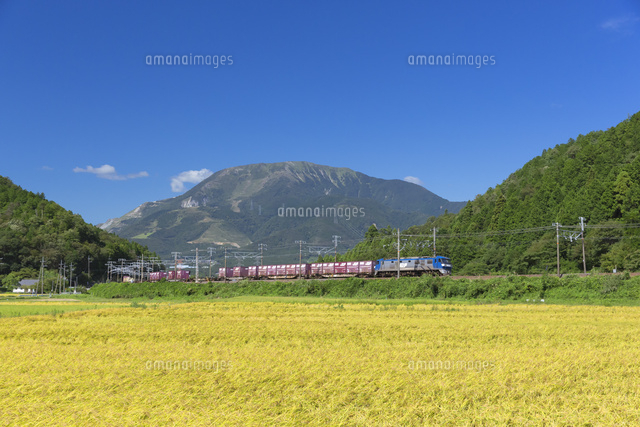 伊吹山とJR東海道本線
(c)NOBUAKI SUMIDA/SEBUN PHOTO