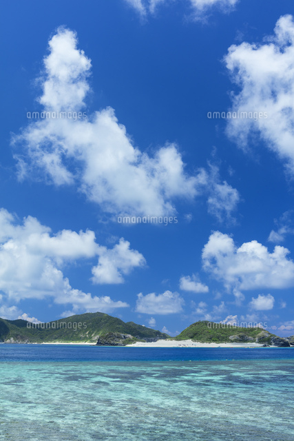 慶良間の海
(c)NOBUAKI SUMIDA/SEBUN PHOTO