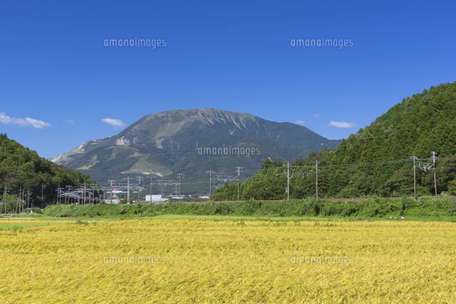 秋の伊吹山
(c)NOBUAKI SUMIDA/SEBUN PHOTO