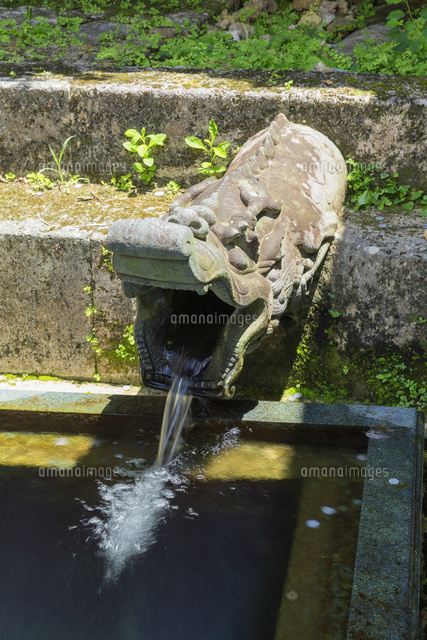 首里城公園の龍樋
(c)NOBUAKI SUMIDA/SEBUN PHOTO