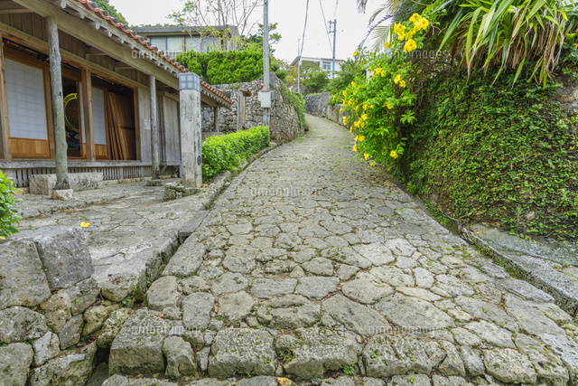 金城町石畳道
(c)NOBUAKI SUMIDA/SEBUN PHOTO