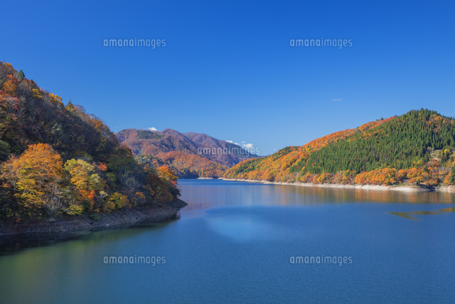 秋の九頭竜湖
(c)NOBUAKI SUMIDA/SEBUN PHOTO