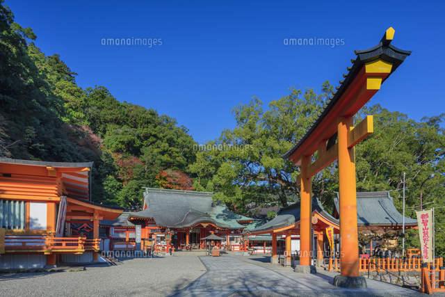 秋の熊野那智大社
(c)NOBUAKI SUMIDA/SEBUN PHOTO
