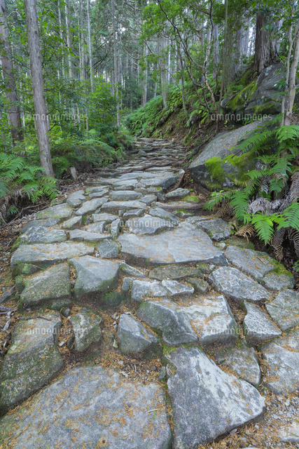 秋の馬越峠
(c)NOBUAKI SUMIDA/SEBUN PHOTO