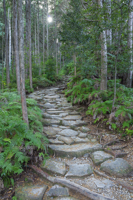 秋の馬越峠
(c)NOBUAKI SUMIDA/SEBUN PHOTO