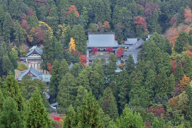 秋の永平寺
(c)NOBUAKI SUMIDA/SEBUN PHOTO