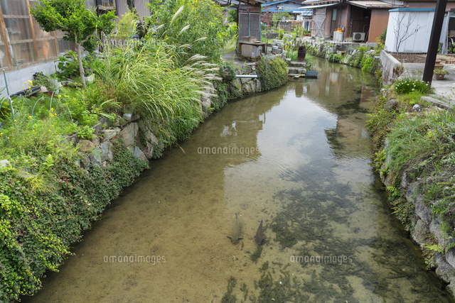 伊庭の水辺景観
(c)NOBUAKI SUMIDA/SEBUN PHOTO