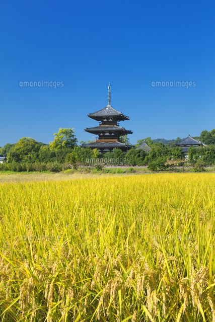 法起寺と田園
(c)NOBUAKI SUMIDA/SEBUN PHOTO