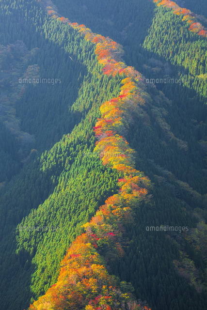 ナメゴ谷の紅葉
(c)NOBUAKI SUMIDA/SEBUN PHOTO
