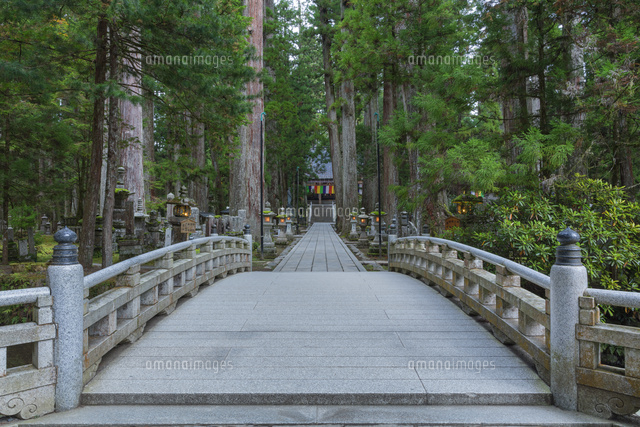 高野山の奥の院
(c)NOBUAKI SUMIDA/SEBUN PHOTO