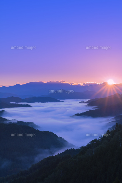 野迫川の雲海
(c)NOBUAKI SUMIDA/SEBUN PHOTO