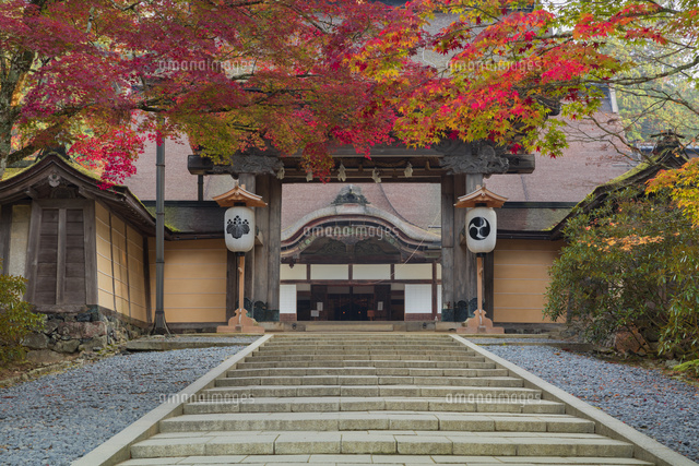 秋の金剛峯寺
(c)NOBUAKI SUMIDA/SEBUN PHOTO