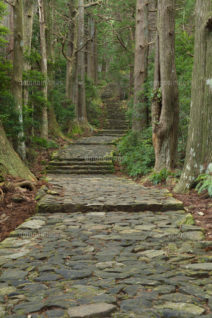 熊野古道
(c)NOBUAKI SUMIDA/SEBUN PHOTO