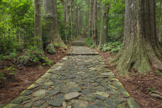 熊野古道
(c)NOBUAKI SUMIDA/SEBUN PHOTO
