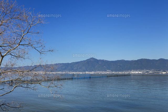 比叡山と琵琶湖とエリ
(c)NOBUAKI SUMIDA/SEBUN PHOTO