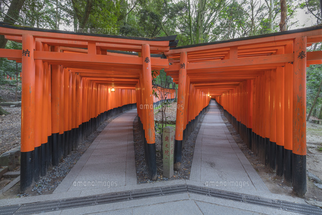 伏見稲荷大社の千本鳥居
(c)NOBUAKI SUMIDA/SEBUN PHOTO