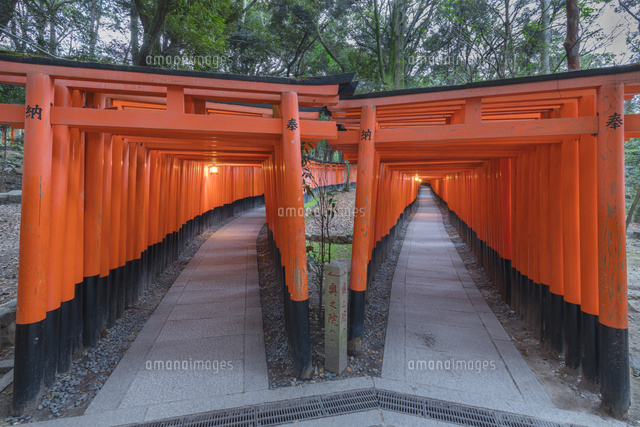 伏見稲荷大社の千本鳥居
(c)NOBUAKI SUMIDA/SEBUN PHOTO