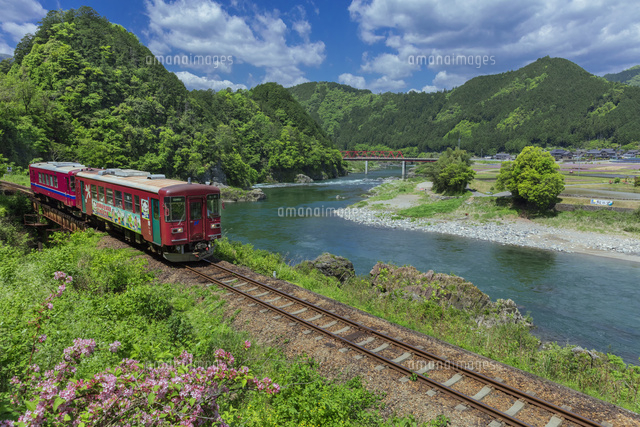 新緑の長良川鉄道と長良川
(c)NOBUAKI SUMIDA/SEBUN PHOTO