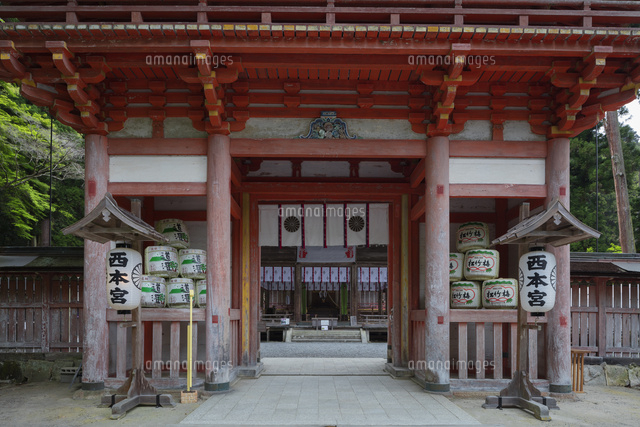 春の日吉大社
(c)NOBUAKI SUMIDA/SEBUN PHOTO