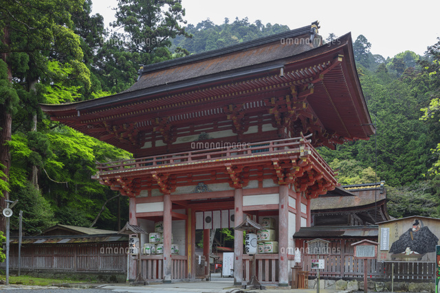 春の日吉大社
(c)NOBUAKI SUMIDA/SEBUN PHOTO