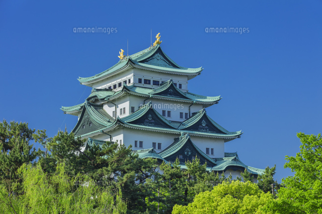 新緑の名古屋城
(c)NOBUAKI SUMIDA/SEBUN PHOTO