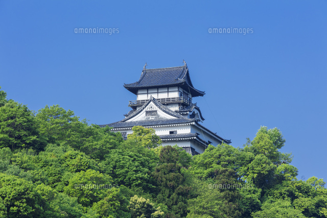 新緑の犬山城
(c)NOBUAKI SUMIDA/SEBUN PHOTO
