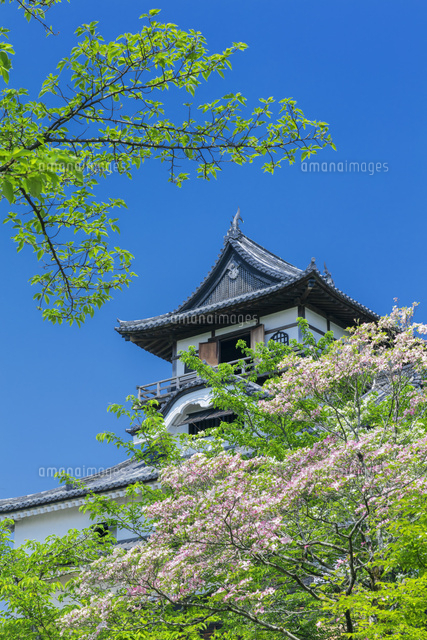 新緑の犬山城
(c)NOBUAKI SUMIDA/SEBUN PHOTO
