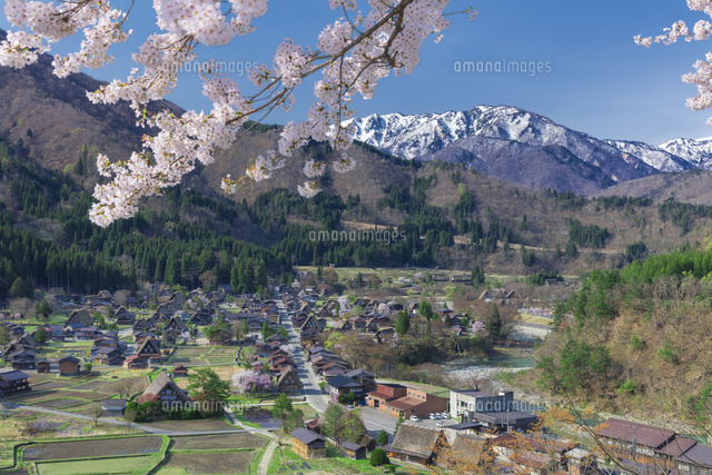 桜の白川郷
(c)NOBUAKI SUMIDA/SEBUN PHOTO