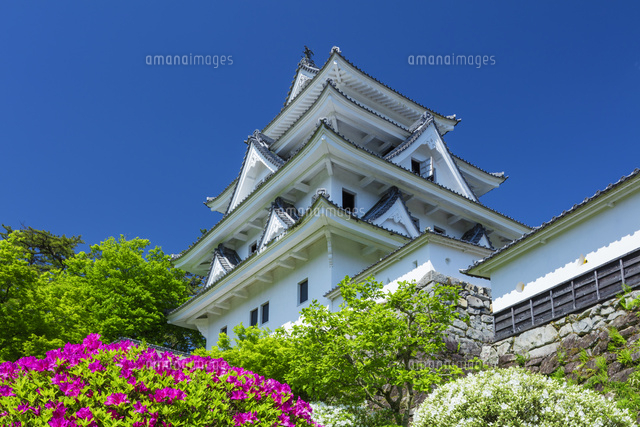 新緑の郡上八幡城
(c)NOBUAKI SUMIDA/SEBUN PHOTO