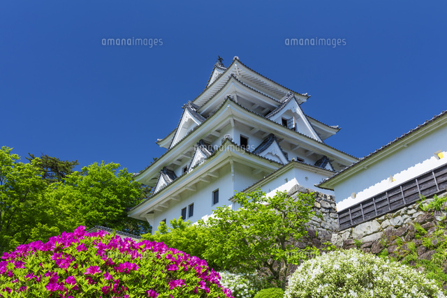 新緑の郡上八幡城
(c)NOBUAKI SUMIDA/SEBUN PHOTO