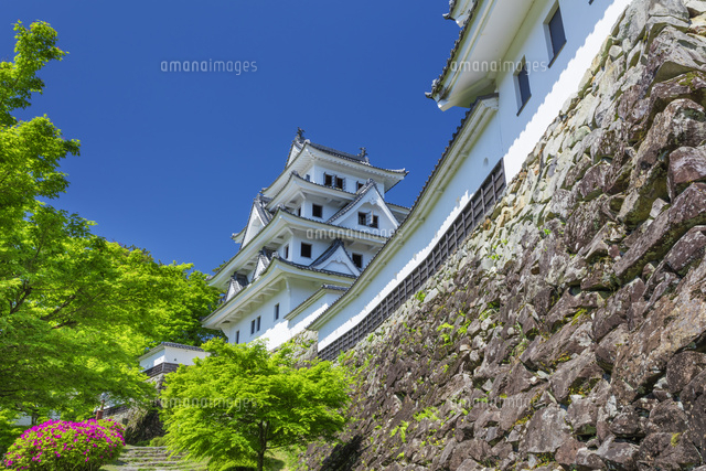 新緑の郡上八幡城
(c)NOBUAKI SUMIDA/SEBUN PHOTO