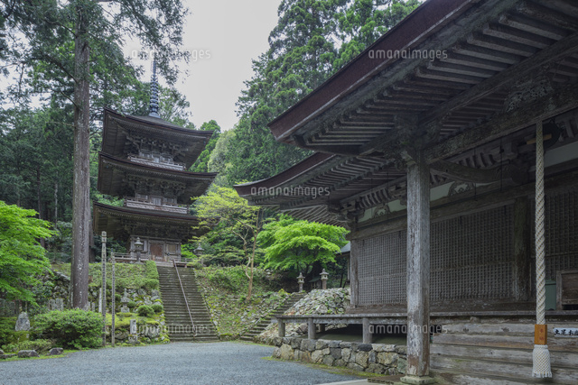 新緑の若狭明通寺の本堂と三重塔
(c)NOBUAKI SUMIDA/SEBUN PHOTO