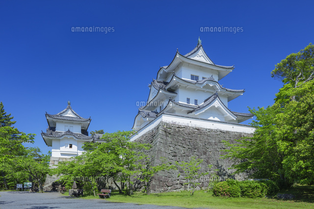 新緑の伊賀上野城
(c)NOBUAKI SUMIDA/SEBUN PHOTO