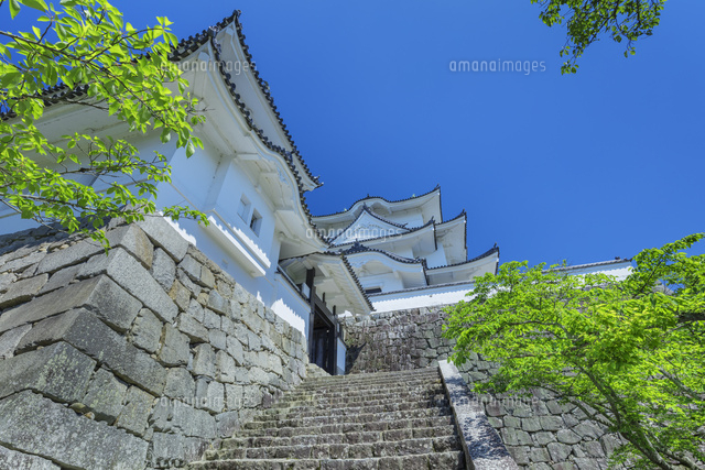 新緑の伊賀上野城
(c)NOBUAKI SUMIDA/SEBUN PHOTO