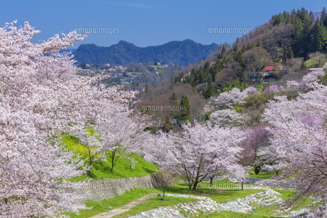 春の陸郷夢農場
(c)NOBUAKI SUMIDA/SEBUN PHOTO